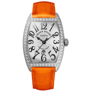 Phasellus varius turpis