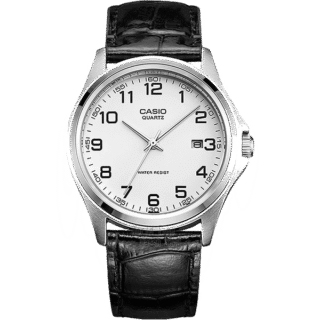 Phasellus varius turpis