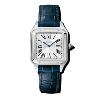 Nunc tempus facilisis